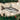 Old World Christmas Great White Shark Christmas Ornament