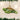 Old World Christmas Green Sea Turtle Christmas Ornament