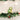 Old World Christmas Happy Froggy Christmas Ornament