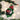 Old World Christmas Holly Ladybug Christmas Ornament