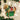 Old World Christmas Horse With Wreath Christmas Ornament