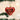 Old World Christmas I Love You Heart Christmas Ornament