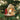 Old World Christmas Jack Russel Christmas Ornament