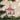 Old World Christmas KFC Restaurant Christmas Ornament
