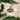 Old World Christmas Mini Bat Christmas Ornament
