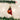 Old World Christmas Mini Cardinal Christmas Ornament