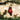 Old World Christmas Mini Red Cardinal Christmas Ornament