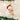 Old World Christmas Night Before Christmas Santa Christmas Ornament