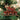 Old World Christmas North Pole Express Sleigh Car Christmas Ornament