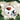 Old World Christmas Oregon State Helmet Christmas Ornament