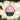 Old World Christmas Pink Chocolate Cupcake Christmas Ornament