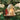 Old World Christmas Pug Christmas Ornament