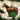 Old World Christmas Quarter Horse Christmas Ornament