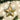 Old World Christmas Radiant Star Christmas Ornament