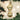 Old World Christmas Rawhide Bone Christmas Ornament