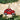 Old World Christmas Red Buggy Christmas Ornament