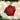 Old World Christmas Red Rose Valentine's Day Ornament
