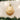 Old World Christmas Scallop Shell Christmas Ornament