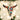 Old World Christmas Southwestern Steer Skull Christmas Ornament