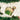 Old World Christmas Standing Yellow Lab Christmas Ornament