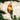 Old World Christmas Sun Conure Christmas Ornament