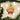 Old World Christmas Sunrise Shell Christmas Ornament