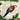 Old World Christmas Tropical Parrot Christmas Ornament