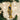 Old World Christmas Trumpet Christmas Ornament