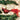 Old World Christmas Vintage Cardinal Christmas Ornament