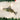 Old World Christmas Walleye Christmas Ornament