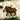 Old World Christmas Warthog Christmas Ornament