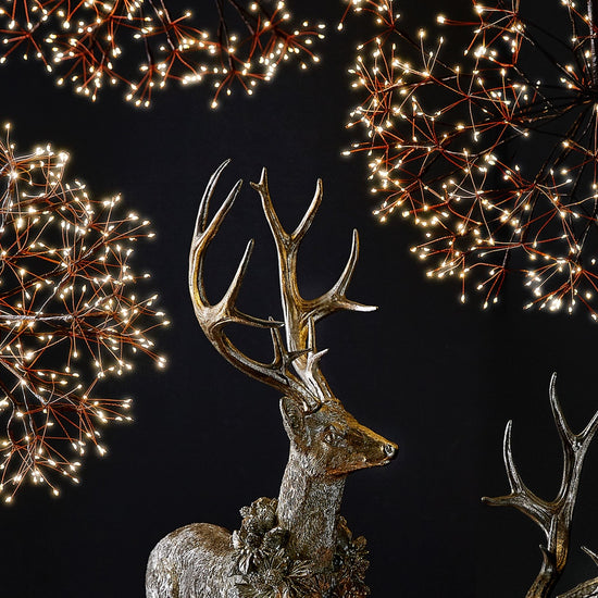 Discover Lighted Starbursts by RAZ Imports