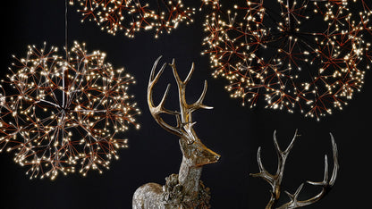 Discover Lighted Starbursts by RAZ Imports
