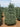 Premium Noble Fir Real Christmas Trees