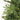 #lights_led-warm-white-mini-lights